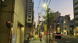 IMG-2565.JPG