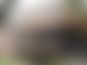 Cabin #39 Lovewell Reservoir Webber, KS