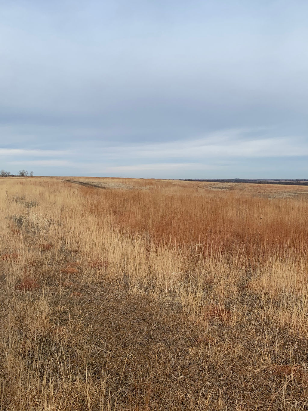 Warne Real Estate Listings