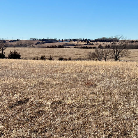 SOLD! 17.3 + acres on edge of Mankato, KS