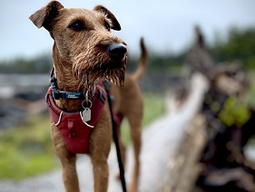 thumbnail_image0 (1).jpg