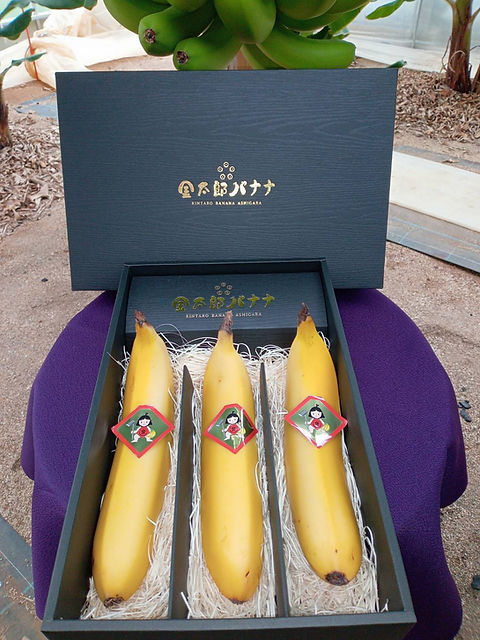 ばなな様専用 ばなな様専用 【公式通販】