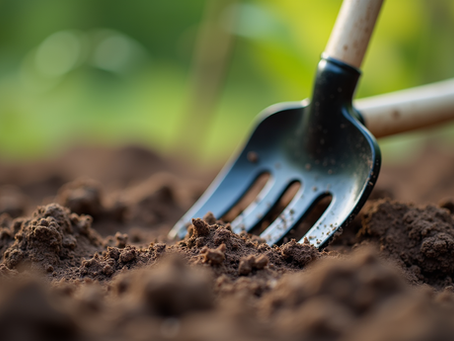 Essential Gardening Equipment for Every Canadian Gardener