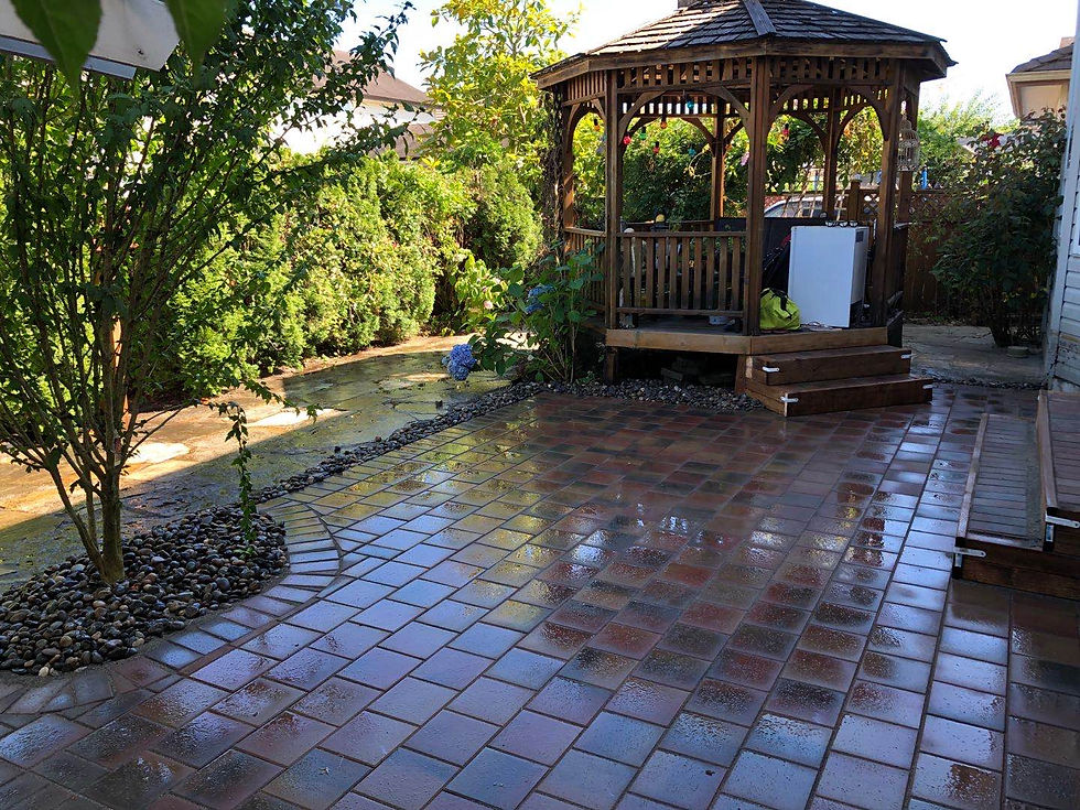 Back yard landscaping ideas