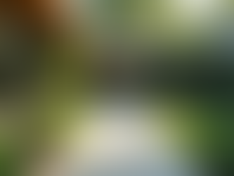 Elevate Your Outdoors with Landscape Design Solutions