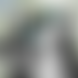 Weibliche Stimmen in der chinesischen Literatur