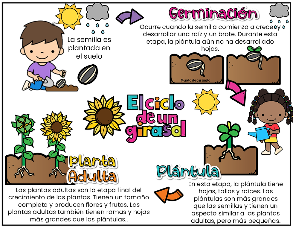 Miniatura: Primavera en el aula. centro de interes