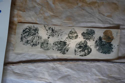 SDSC05730