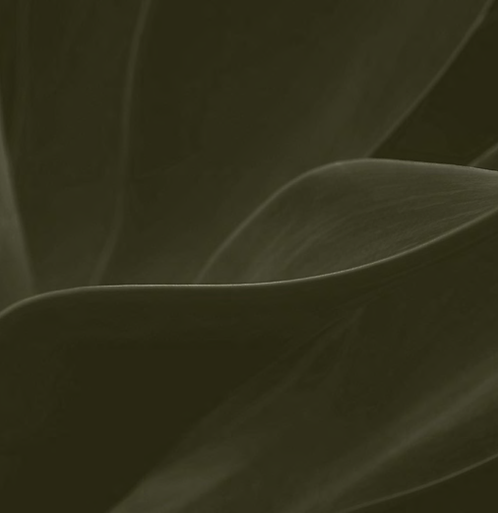 image-000.png