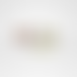 Merveillous Agri - Un projet pas comme les autres