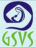 293228png.png