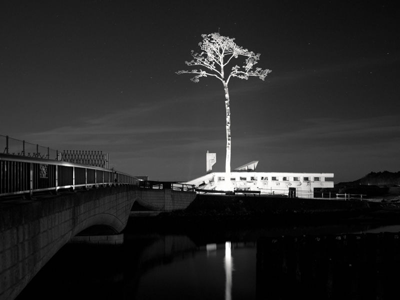 Japan: The Great Tsunami of 2011, Already 10 Years