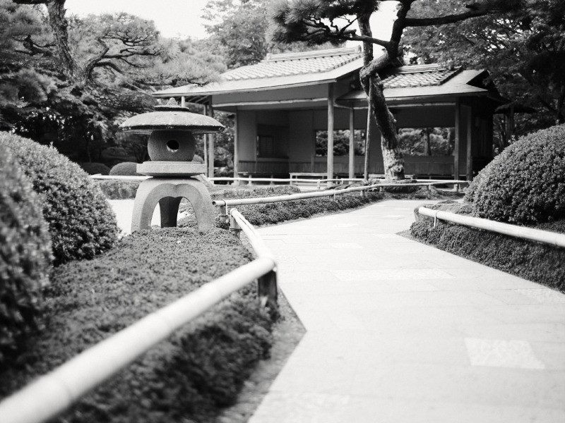 Japan: 5 Essential Gardens for Landscape Photography