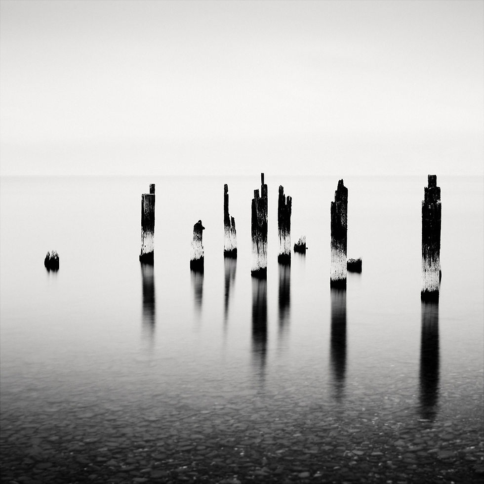 Landscapes and Minimalism: The Influence of Japanese Wabi-Sabi in Photography