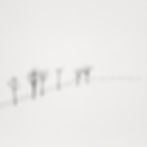 Landscapes and Minimalism: The Influence of Japanese Sansui in Photography