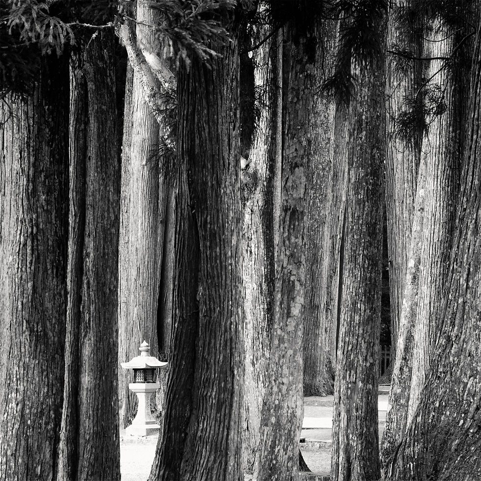 Japan: Photographing Koyasan, A Journey Through History and Spirituality