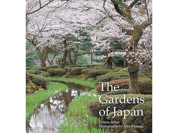 Amazon.co.jp: 高野敦子写真集 Naturalism 1992年発行 : おもちゃ