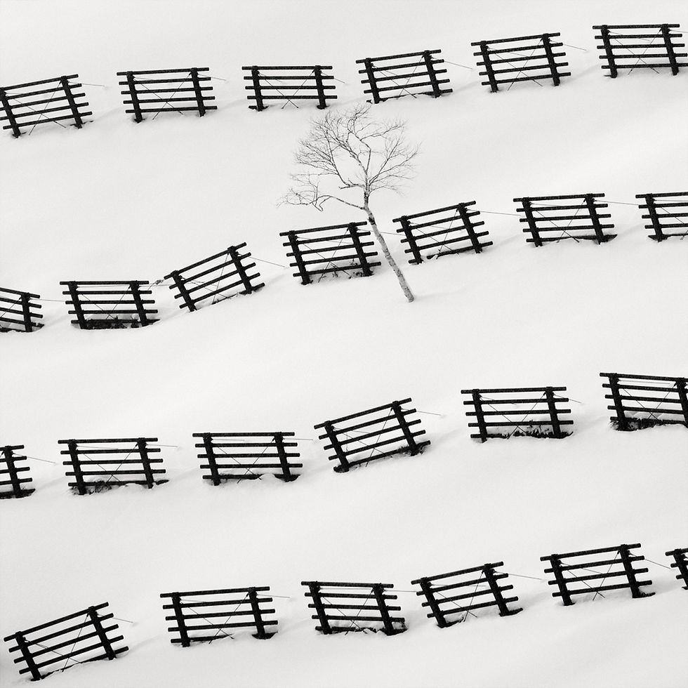 Landscapes and Minimalism: The Creative Power of Snow in Photography