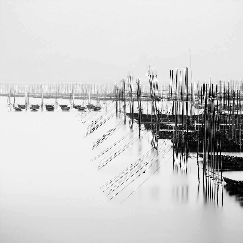 Japan: Photographing the Seaweed Cultures of the Ariake Sea