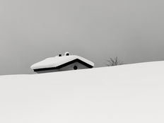 Landscapes and Minimalism: The Relation Between Photography and Japanese Haiku