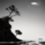 Ginko: The Art of Walking and Creativity Inspired by Japanese Haiku Masters