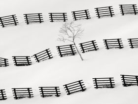 Paysages et minimalisme: La puissance créative de la neige