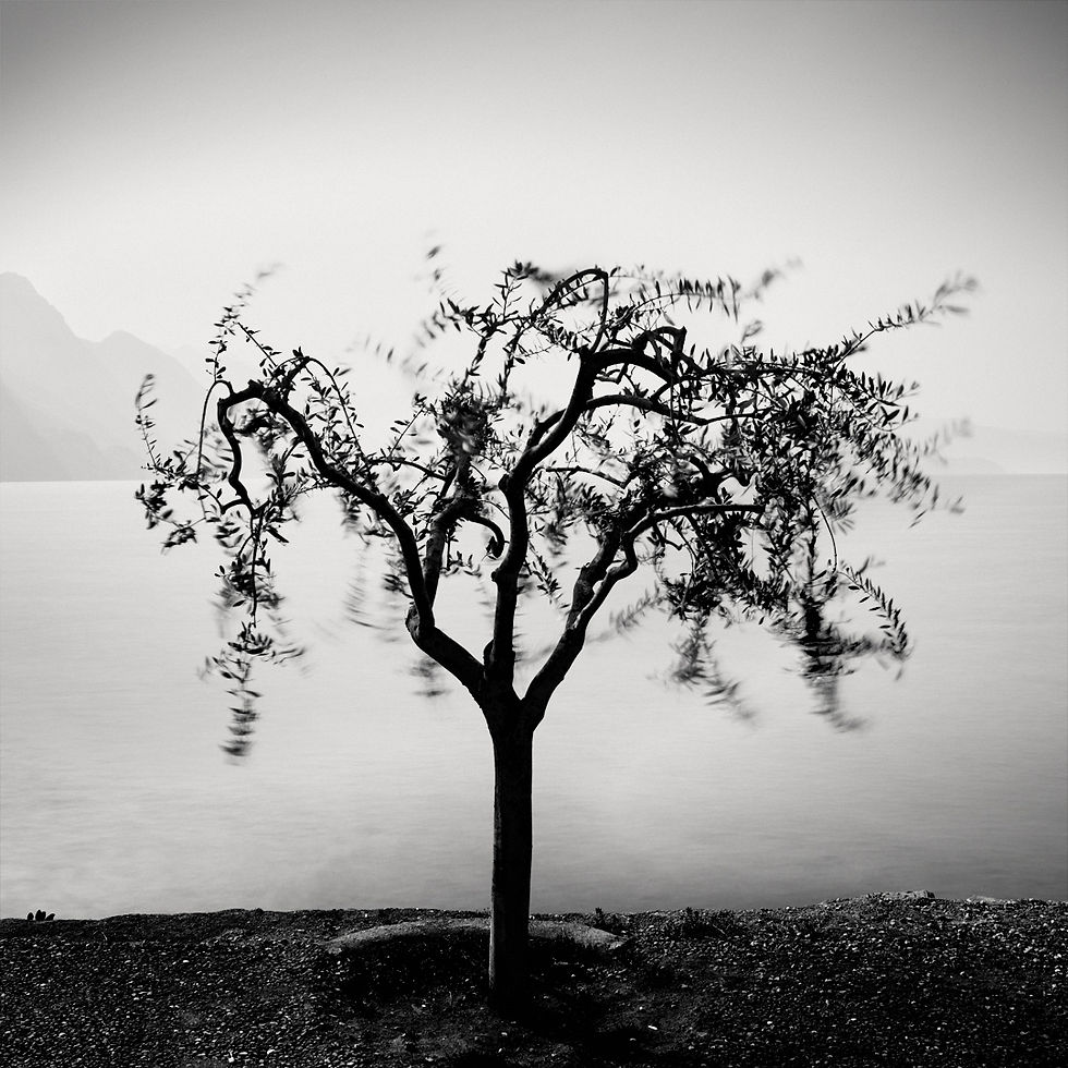 Long Exposures: The Celebration of Slowness in Photography