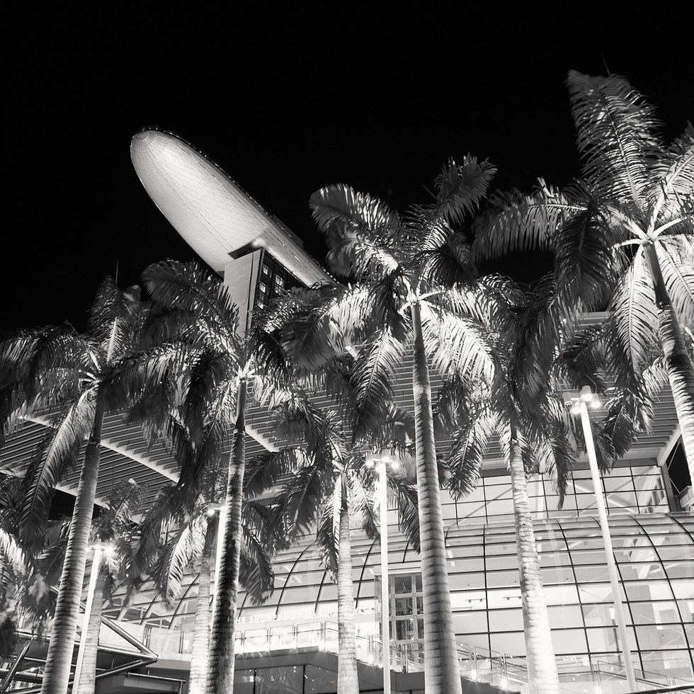 Singapore: The Marina Bay Sands, an Impact Beyond the Landscape