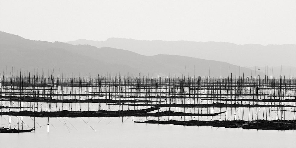 Japan: Photographing the Seaweed Cultures of the Ariake Sea