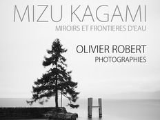 Mizu Kagami - Mairie, Nernier, France, 2014