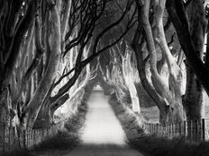 Walking: Catalyst of Emotions in Landscape Photography
