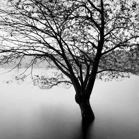 Japan: Lake Yogo, Tranquility a Stone's Throw from Lake Biwa
