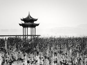 Shui-mo: The Art of Chinese Ink Painting as a Source of Inspiration