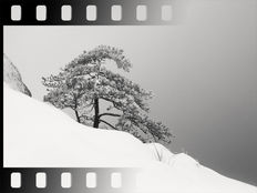 Optimiser les ratios d'images pour une photographie de paysages créative