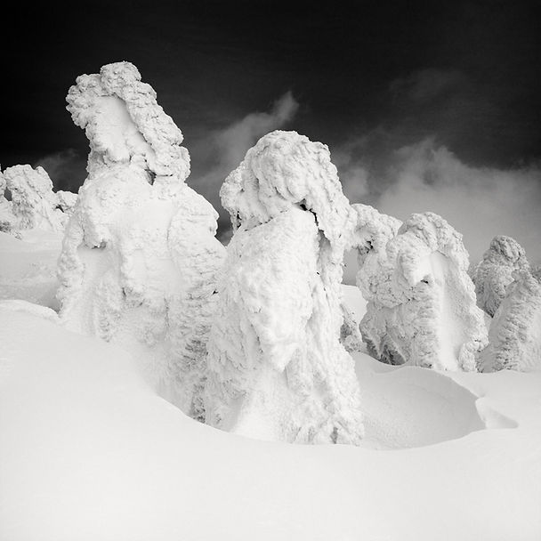 Japan: Photographing the Snow Monsters in the Hakkoda Mountains