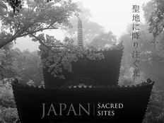 Japan Festival - Japan Club of Geneva, Carouge, Switzerland, 2014