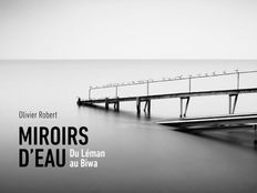 Miroirs d'eau du Léman au Biwa, Olivier Robert, 2015