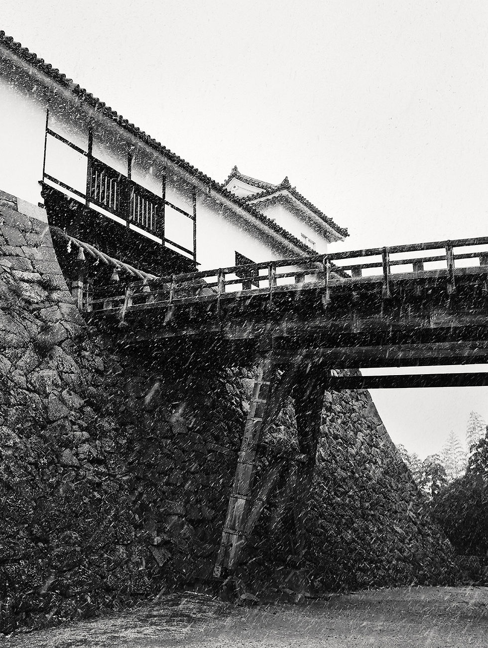 Japan: Hikone Castle, A Feudal Treasure on the Shores of Lake Biwa