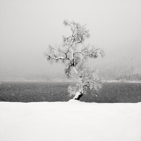 Japan: Lake Yogo, Tranquility a Stone's Throw from Lake Biwa