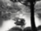 Japan: 5 Essential Gardens for Landscape Photography