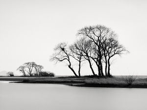 Japan: The Lake Biwa Marsh, an Ideal Ecological Refuge for Photography