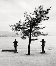 IMG_0994.jpg