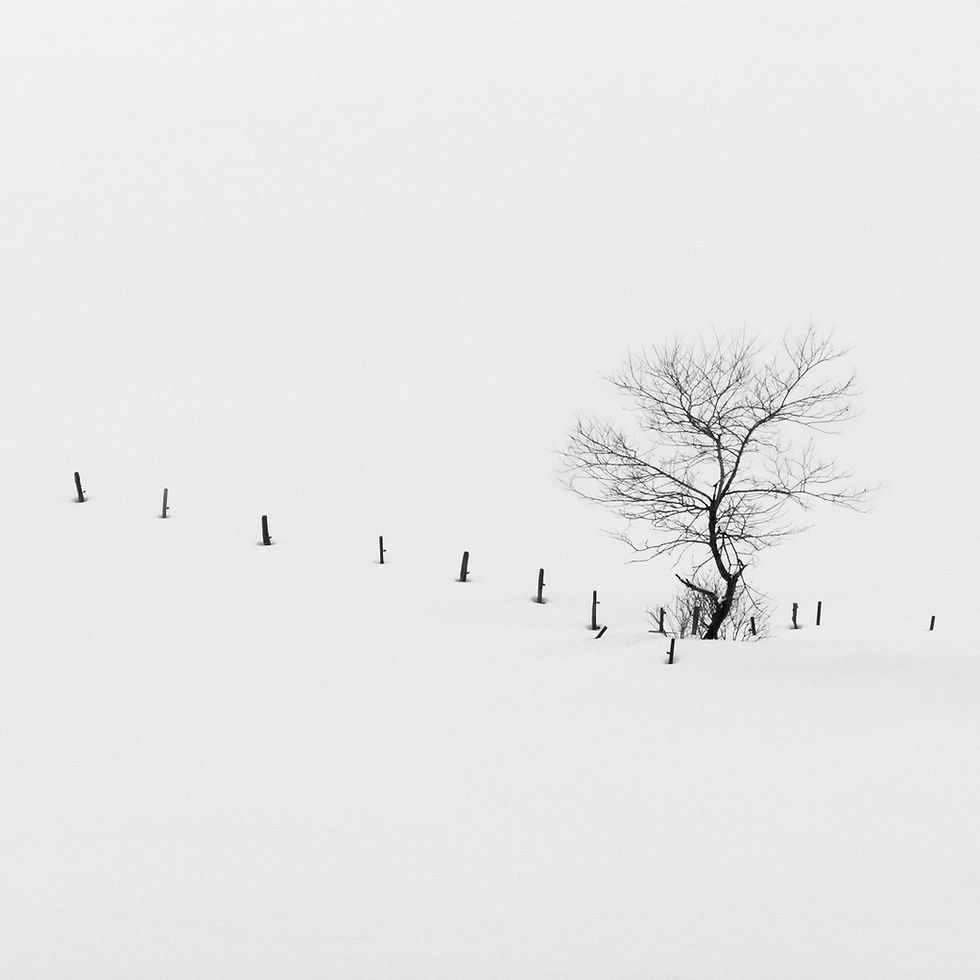 Landscapes and Minimalism: The Creative Power of Snow in Photography