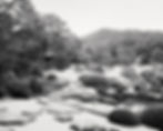Japan: 5 Essential Gardens for Landscape Photography