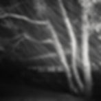 Understanding and Using Black and White Photography in a Creative Approach (Part 1)