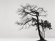 Publication in the Monochrome Masters Book Vol. 01, USA 2025