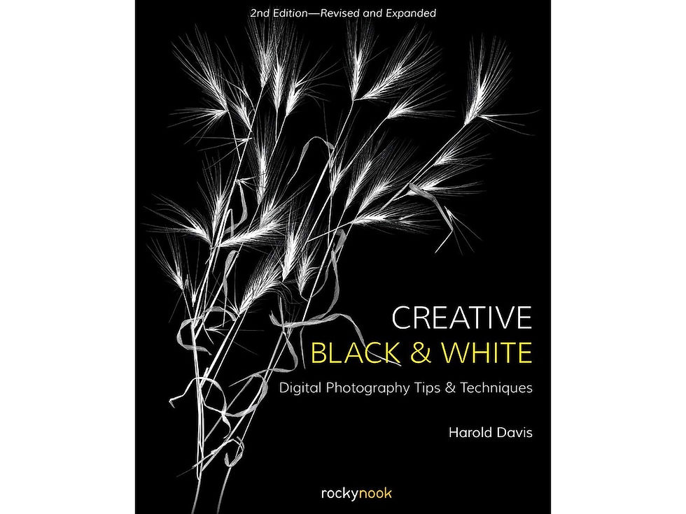 The Art of Digital B&W Photography