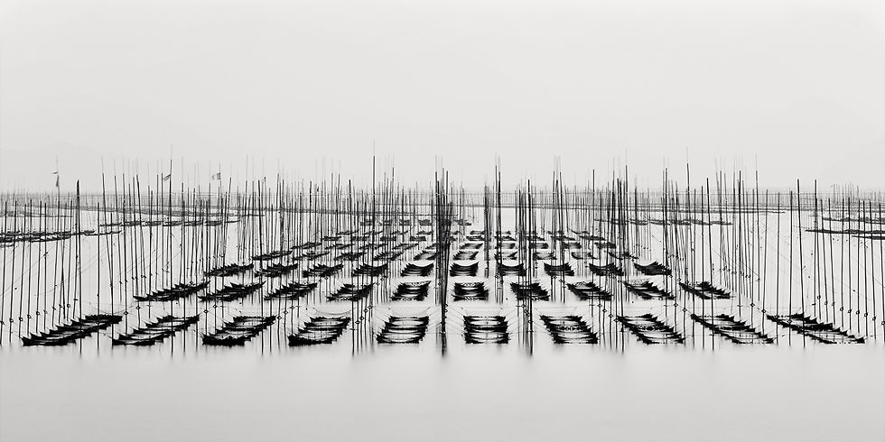 Japan: Photographing the Seaweed Cultures of the Ariake Sea