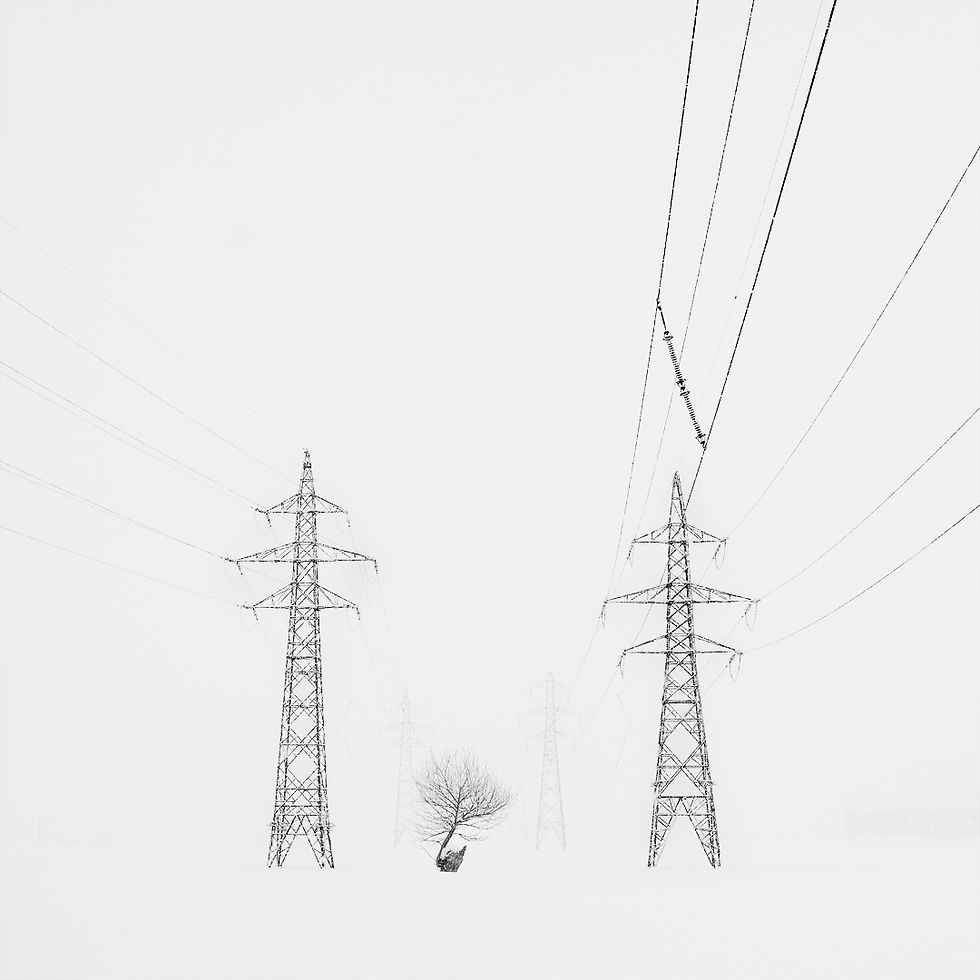 Landscapes and Minimalism: The Creative Power of Snow in Photography