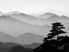 The Act of Photographing: A Meditative Journey Beyond the Images